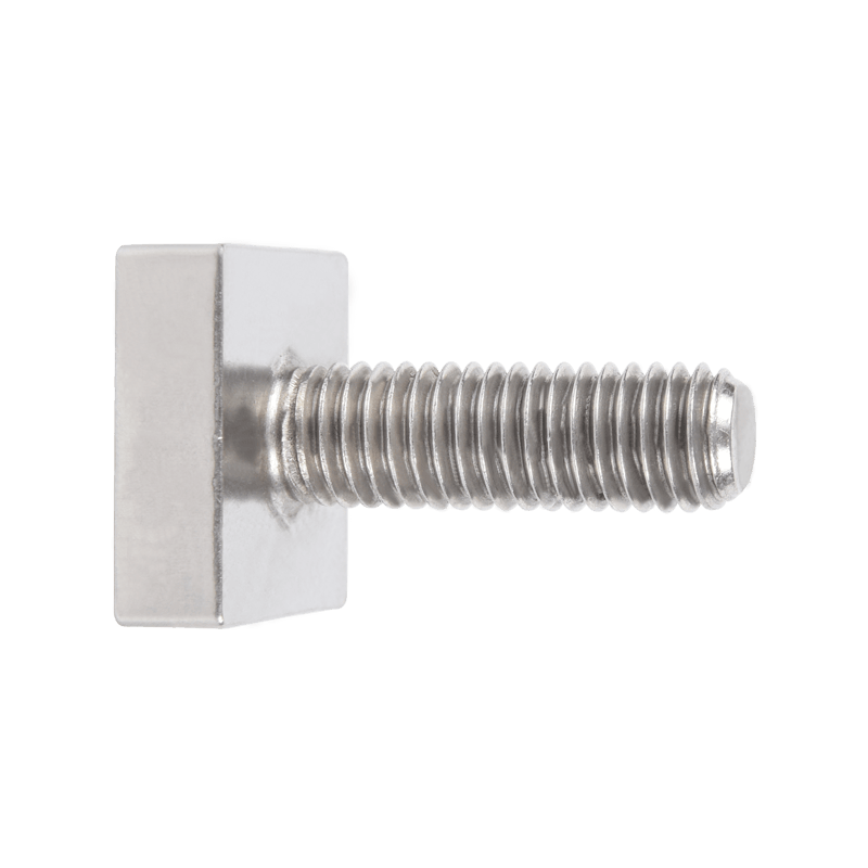 Customized Special Screw with Square Head