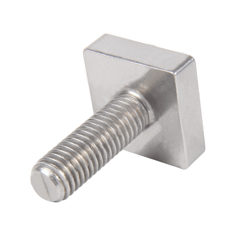 Customized Special Screw with Square Head